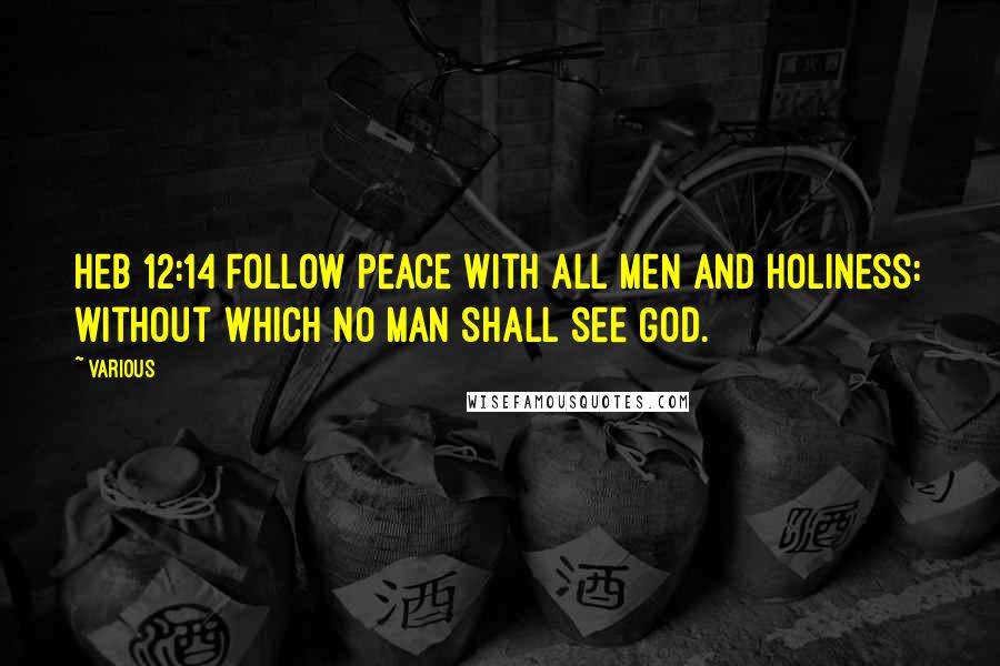 Various Quotes: Heb 12:14 Follow peace with all men and holiness: without which no man shall see God.