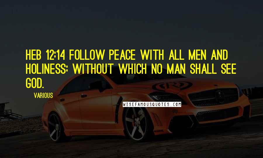 Various Quotes: Heb 12:14 Follow peace with all men and holiness: without which no man shall see God.