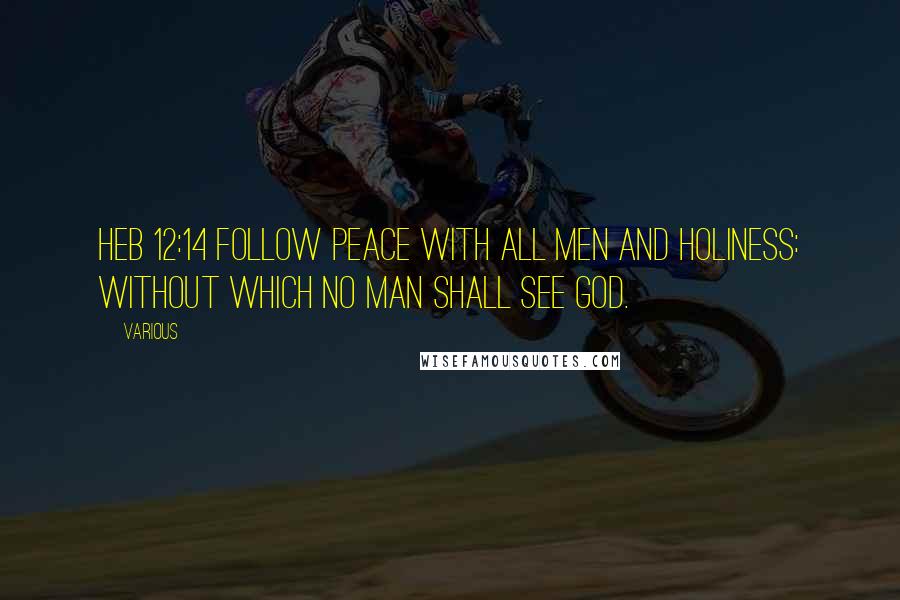 Various Quotes: Heb 12:14 Follow peace with all men and holiness: without which no man shall see God.