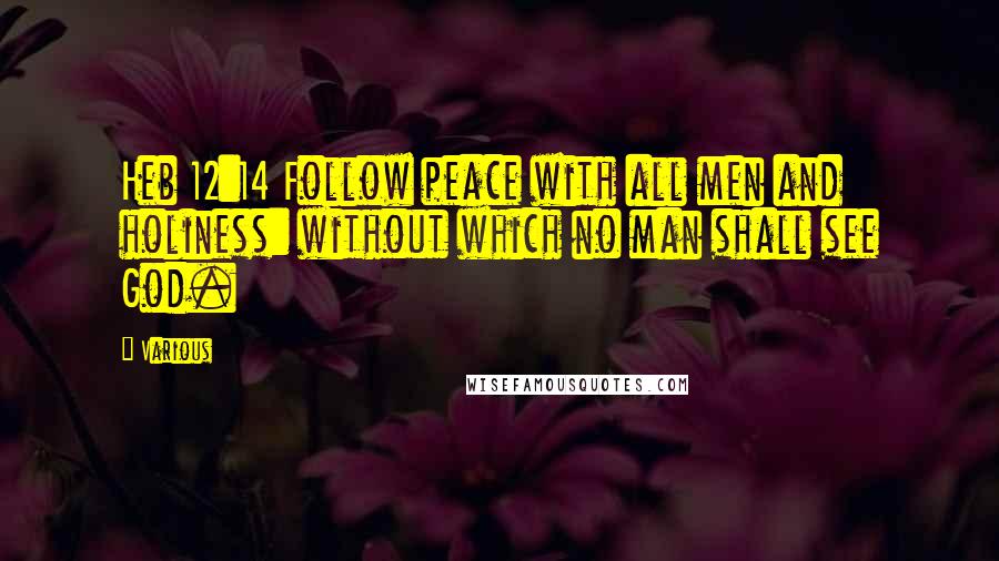 Various Quotes: Heb 12:14 Follow peace with all men and holiness: without which no man shall see God.