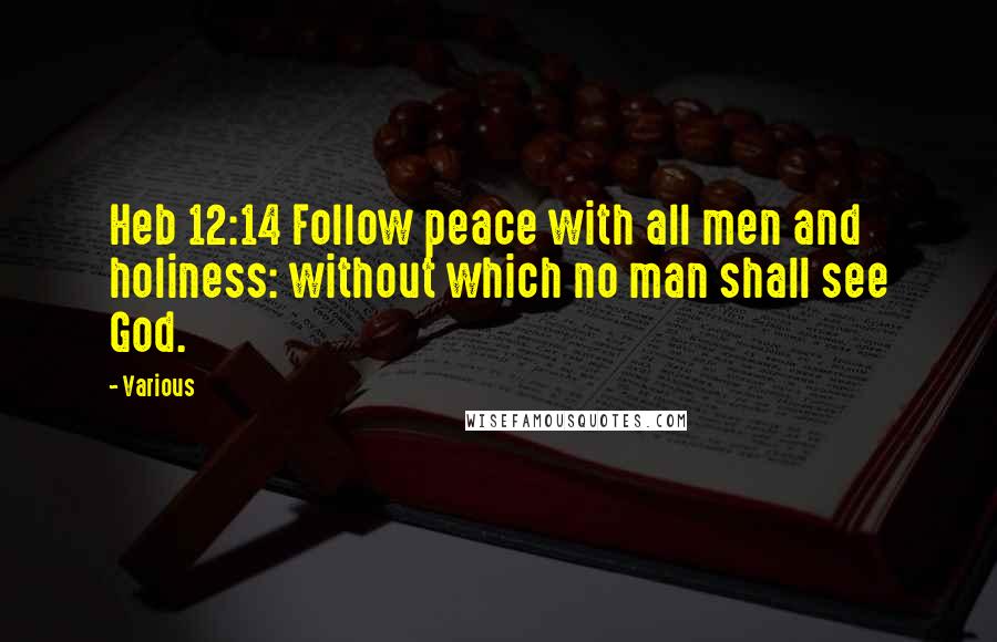 Various Quotes: Heb 12:14 Follow peace with all men and holiness: without which no man shall see God.