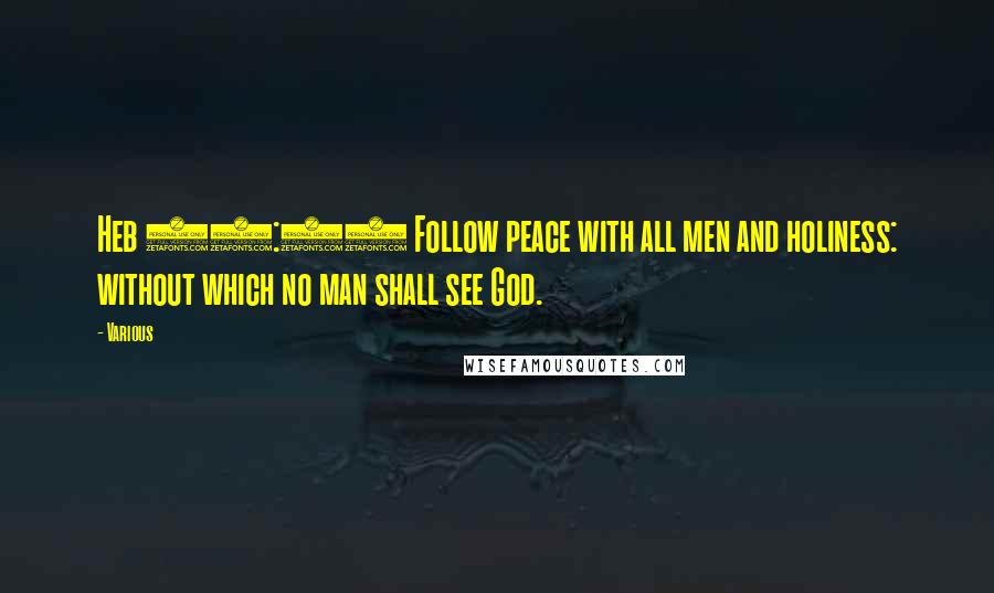 Various Quotes: Heb 12:14 Follow peace with all men and holiness: without which no man shall see God.
