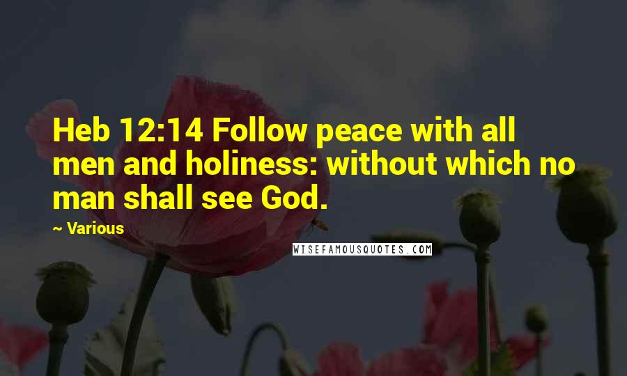 Various Quotes: Heb 12:14 Follow peace with all men and holiness: without which no man shall see God.