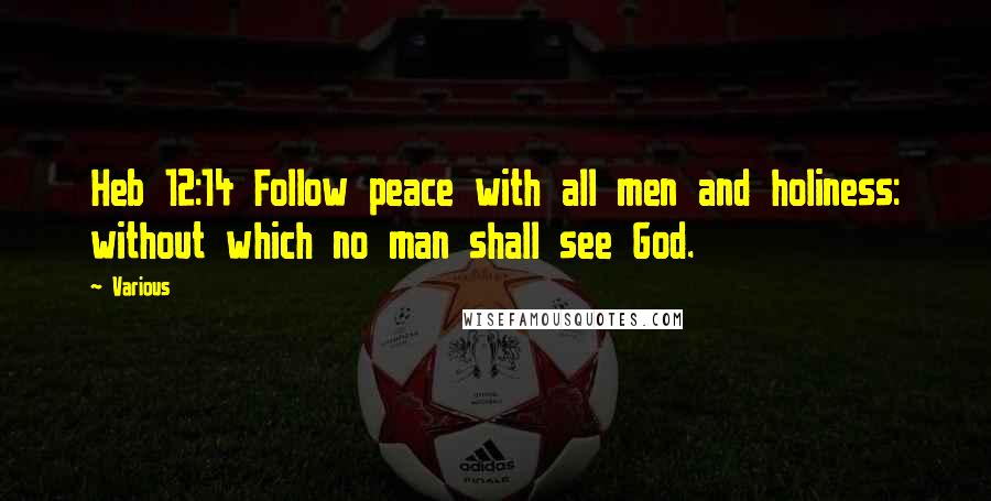 Various Quotes: Heb 12:14 Follow peace with all men and holiness: without which no man shall see God.