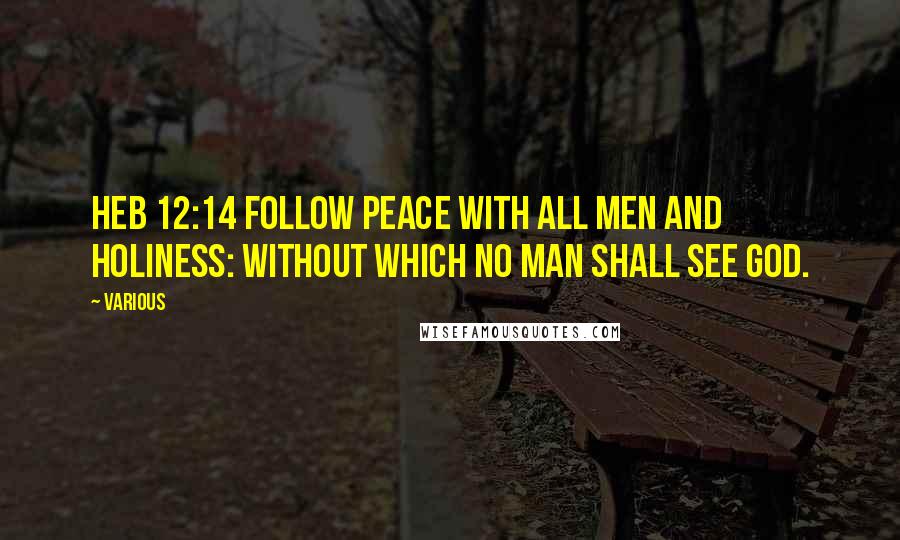 Various Quotes: Heb 12:14 Follow peace with all men and holiness: without which no man shall see God.