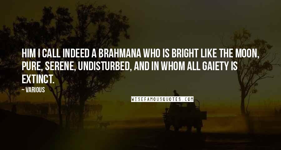 Various Quotes: Him I call indeed a Brahmana who is bright like the moon, pure, serene, undisturbed, and in whom all gaiety is extinct.