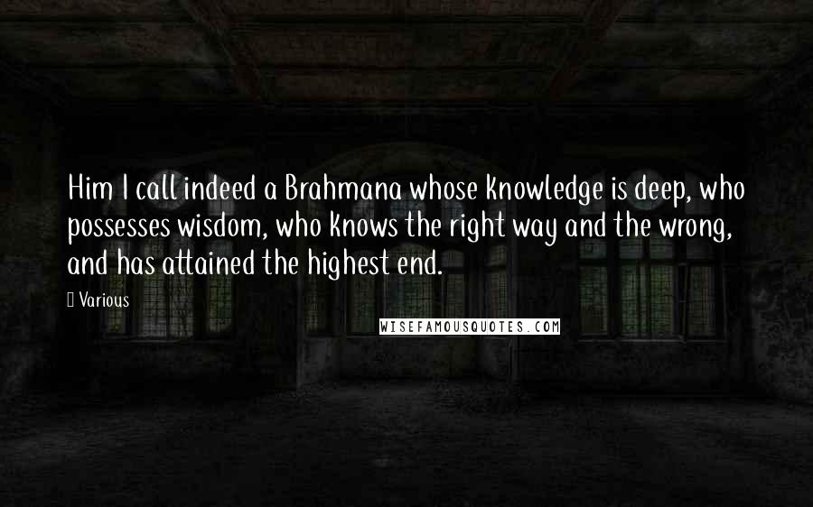 Various Quotes: Him I call indeed a Brahmana whose knowledge is deep, who possesses wisdom, who knows the right way and the wrong, and has attained the highest end.