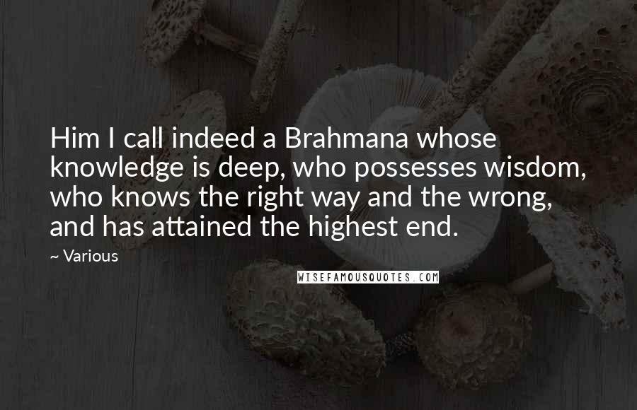 Various Quotes: Him I call indeed a Brahmana whose knowledge is deep, who possesses wisdom, who knows the right way and the wrong, and has attained the highest end.