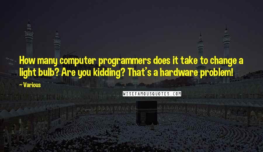 Various Quotes: How many computer programmers does it take to change a light bulb? Are you kidding? That's a hardware problem!