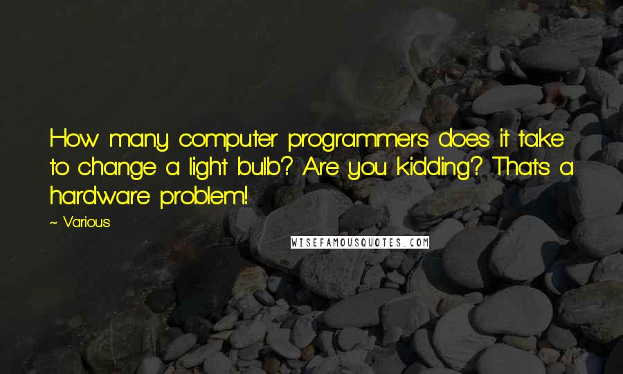 Various Quotes: How many computer programmers does it take to change a light bulb? Are you kidding? That's a hardware problem!