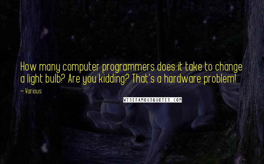 Various Quotes: How many computer programmers does it take to change a light bulb? Are you kidding? That's a hardware problem!