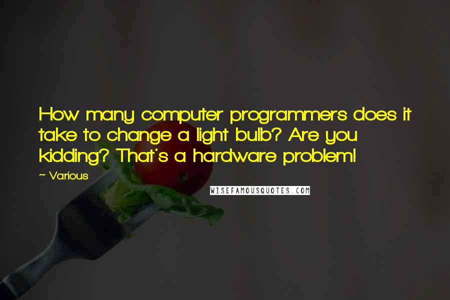 Various Quotes: How many computer programmers does it take to change a light bulb? Are you kidding? That's a hardware problem!