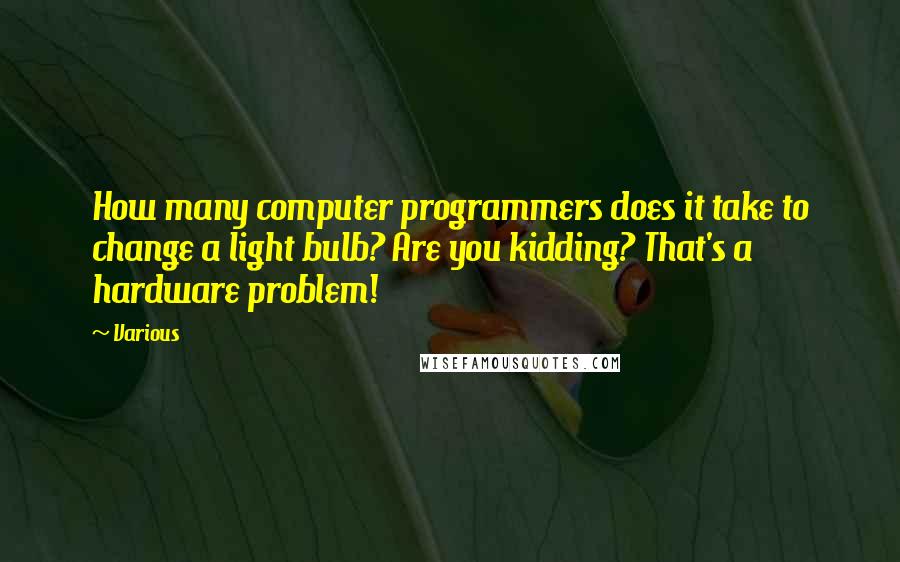 Various Quotes: How many computer programmers does it take to change a light bulb? Are you kidding? That's a hardware problem!