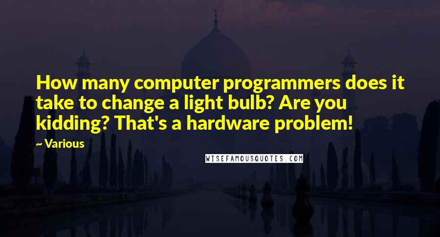 Various Quotes: How many computer programmers does it take to change a light bulb? Are you kidding? That's a hardware problem!
