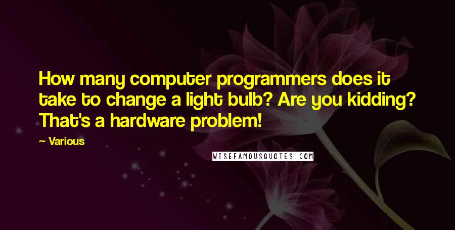 Various Quotes: How many computer programmers does it take to change a light bulb? Are you kidding? That's a hardware problem!