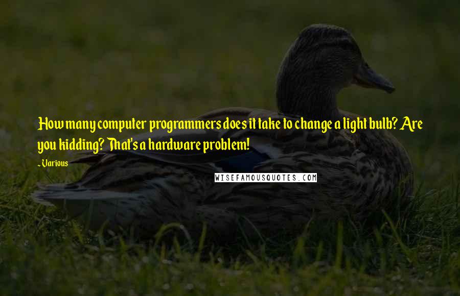 Various Quotes: How many computer programmers does it take to change a light bulb? Are you kidding? That's a hardware problem!