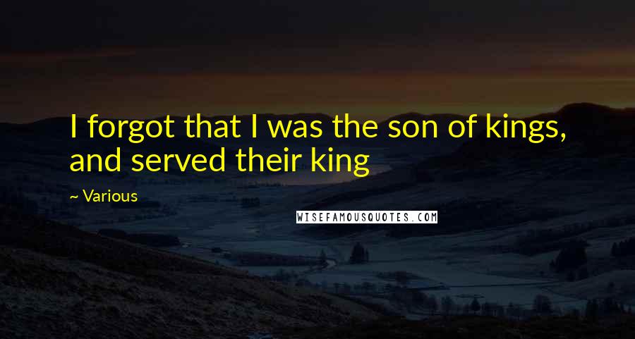 Various Quotes: I forgot that I was the son of kings, and served their king