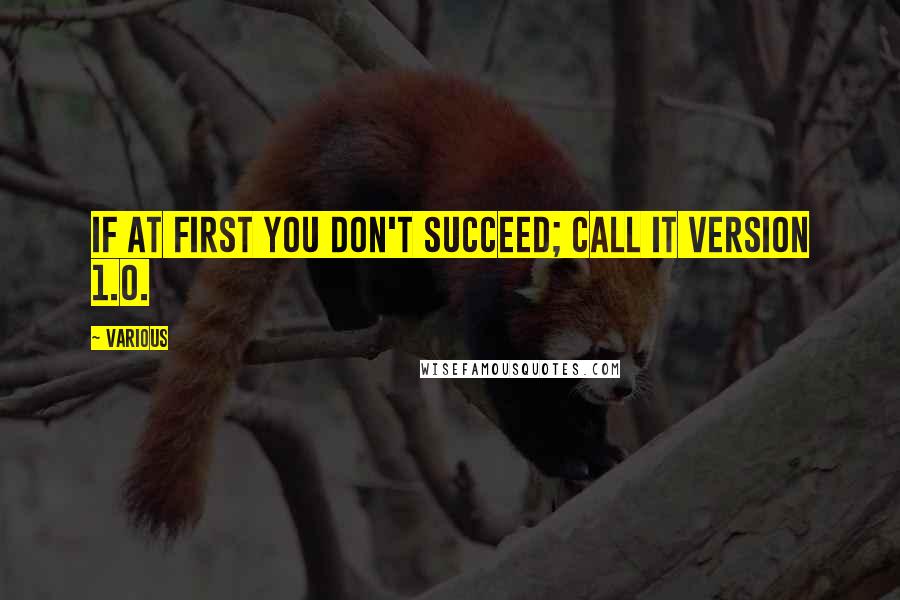 Various Quotes: If at first you don't succeed; call it version 1.0.