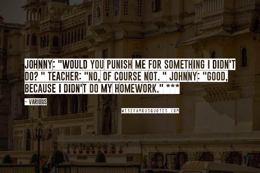 Various Quotes: Johnny: "Would you punish me for something I didn't do? " Teacher: "No, of course not. " Johnny: "Good, because I didn't do my homework." ***