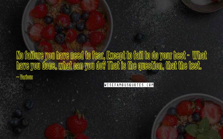 Various Quotes: No failure you have need to fear, Except to fail to do your best -  What have you done, what can you do? That is the question, that the test.