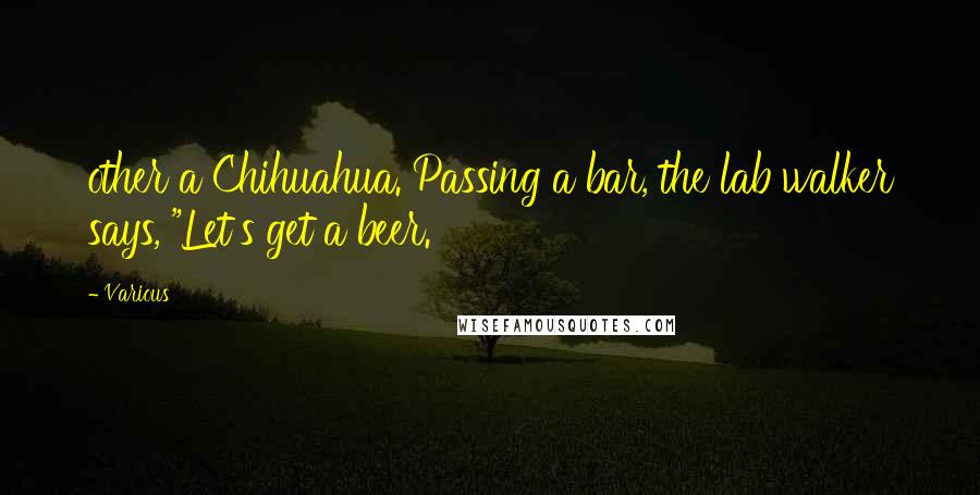 Various Quotes: other a Chihuahua. Passing a bar, the lab walker says, "Let's get a beer.