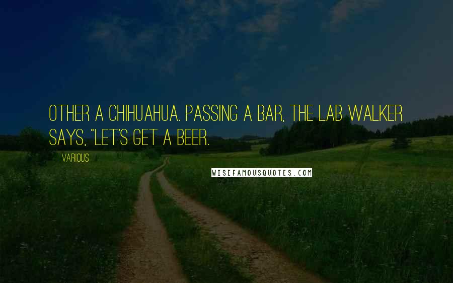 Various Quotes: other a Chihuahua. Passing a bar, the lab walker says, "Let's get a beer.
