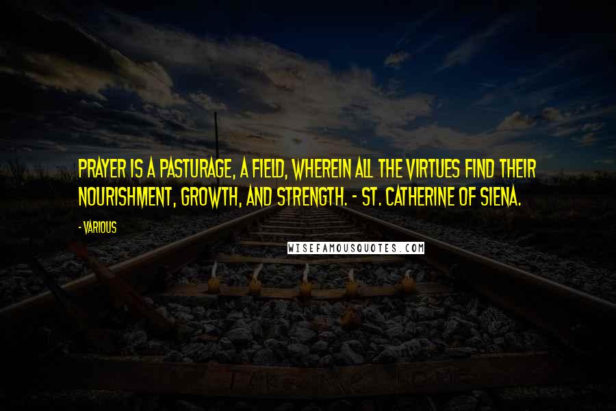 Various Quotes: Prayer is a pasturage, a field, wherein all the virtues find their nourishment, growth, and strength. - ST. CATHERINE OF SIENA.