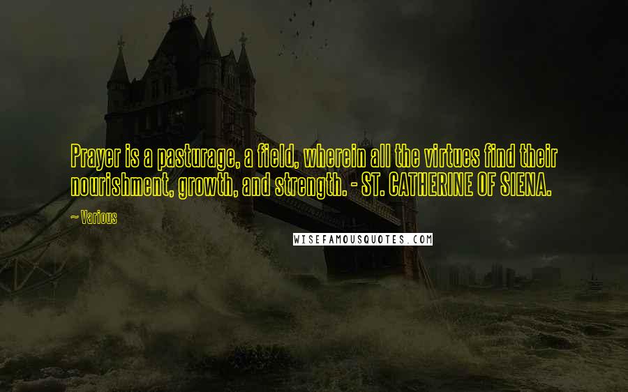 Various Quotes: Prayer is a pasturage, a field, wherein all the virtues find their nourishment, growth, and strength. - ST. CATHERINE OF SIENA.