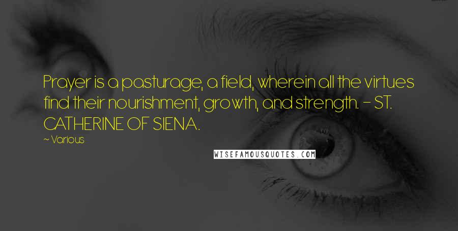 Various Quotes: Prayer is a pasturage, a field, wherein all the virtues find their nourishment, growth, and strength. - ST. CATHERINE OF SIENA.