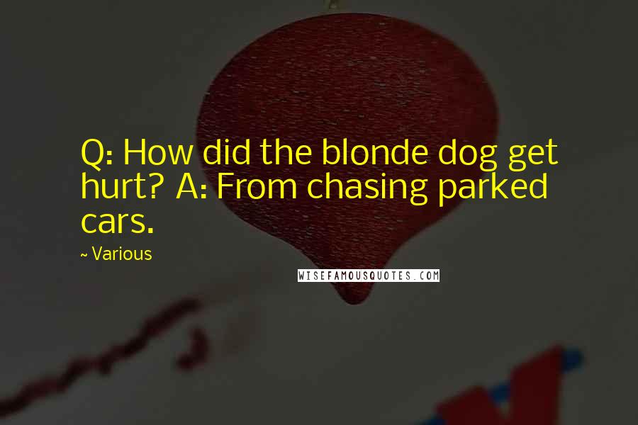 Various Quotes: Q: How did the blonde dog get hurt? A: From chasing parked cars.