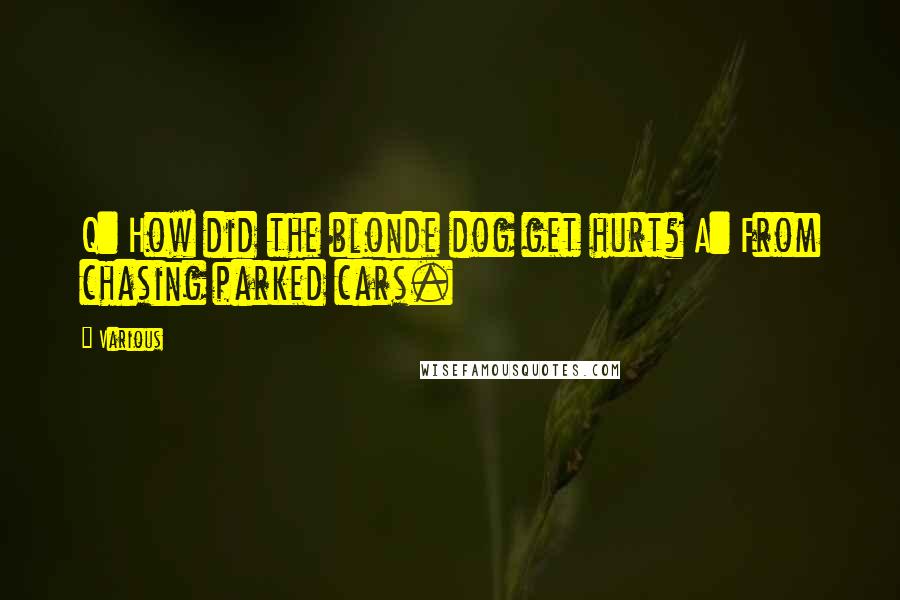 Various Quotes: Q: How did the blonde dog get hurt? A: From chasing parked cars.