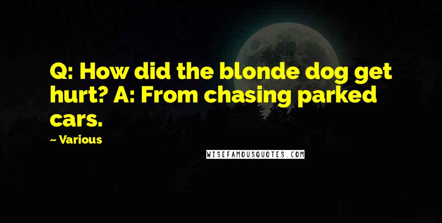 Various Quotes: Q: How did the blonde dog get hurt? A: From chasing parked cars.