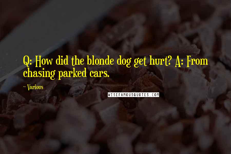 Various Quotes: Q: How did the blonde dog get hurt? A: From chasing parked cars.