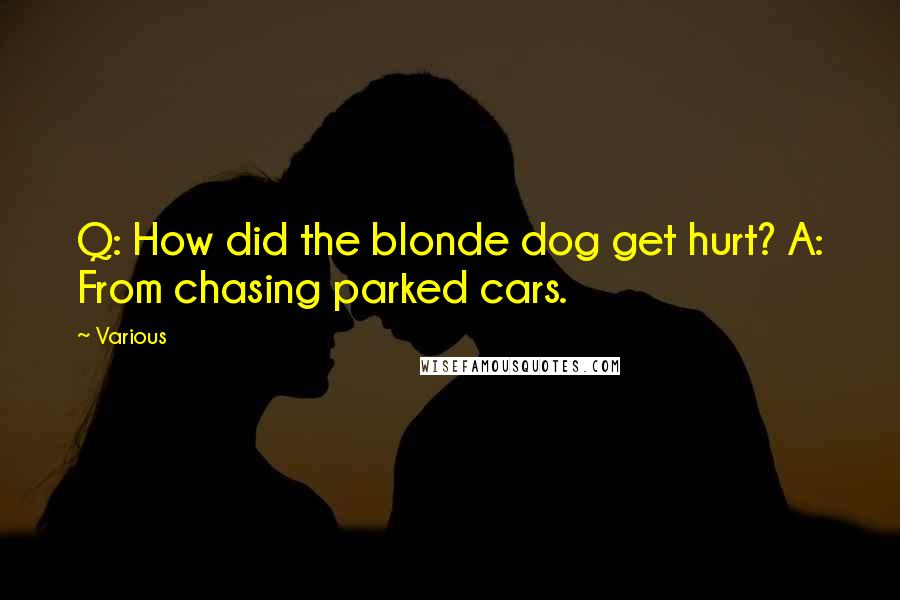 Various Quotes: Q: How did the blonde dog get hurt? A: From chasing parked cars.