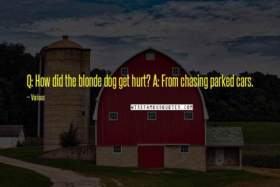 Various Quotes: Q: How did the blonde dog get hurt? A: From chasing parked cars.