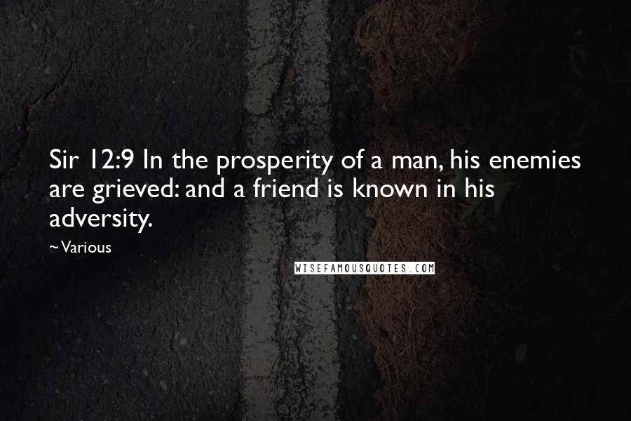 Various Quotes: Sir 12:9 In the prosperity of a man, his enemies are grieved: and a friend is known in his adversity.