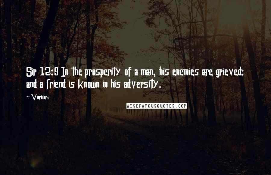 Various Quotes: Sir 12:9 In the prosperity of a man, his enemies are grieved: and a friend is known in his adversity.