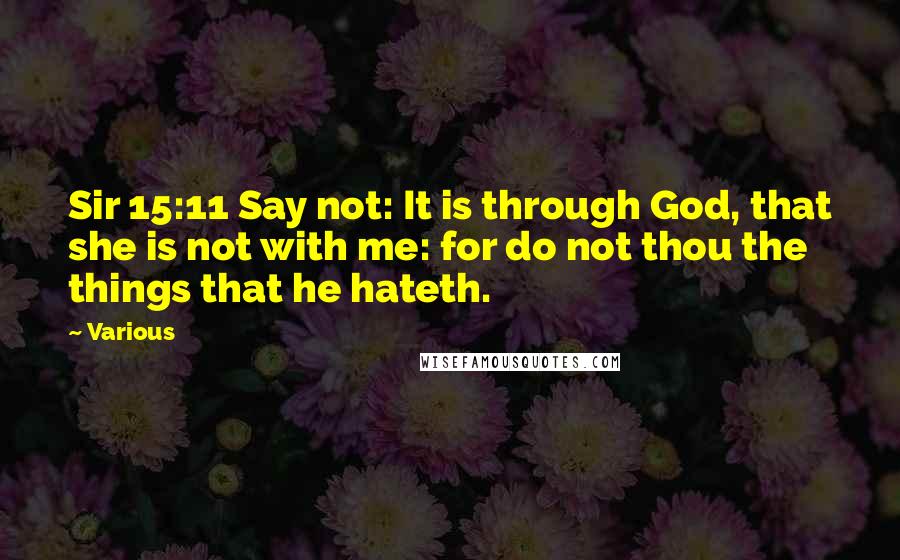 Various Quotes: Sir 15:11 Say not: It is through God, that she is not with me: for do not thou the things that he hateth.