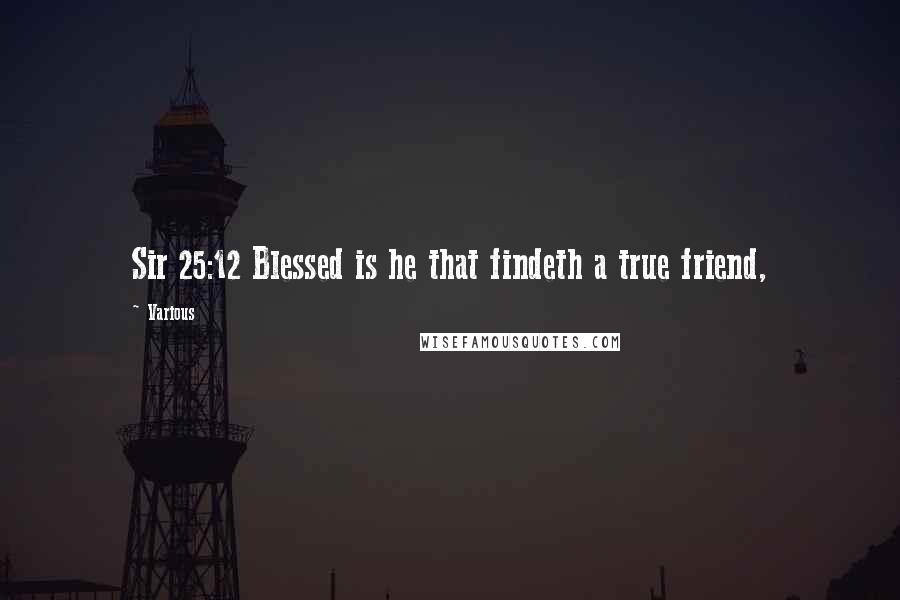 Various Quotes: Sir 25:12 Blessed is he that findeth a true friend,