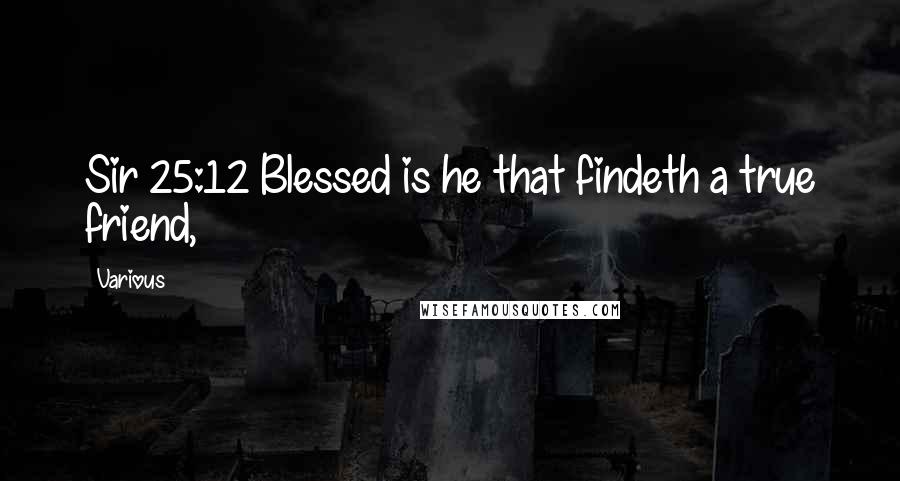 Various Quotes: Sir 25:12 Blessed is he that findeth a true friend,