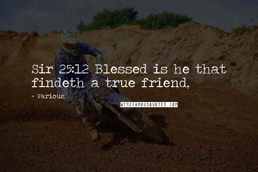 Various Quotes: Sir 25:12 Blessed is he that findeth a true friend,
