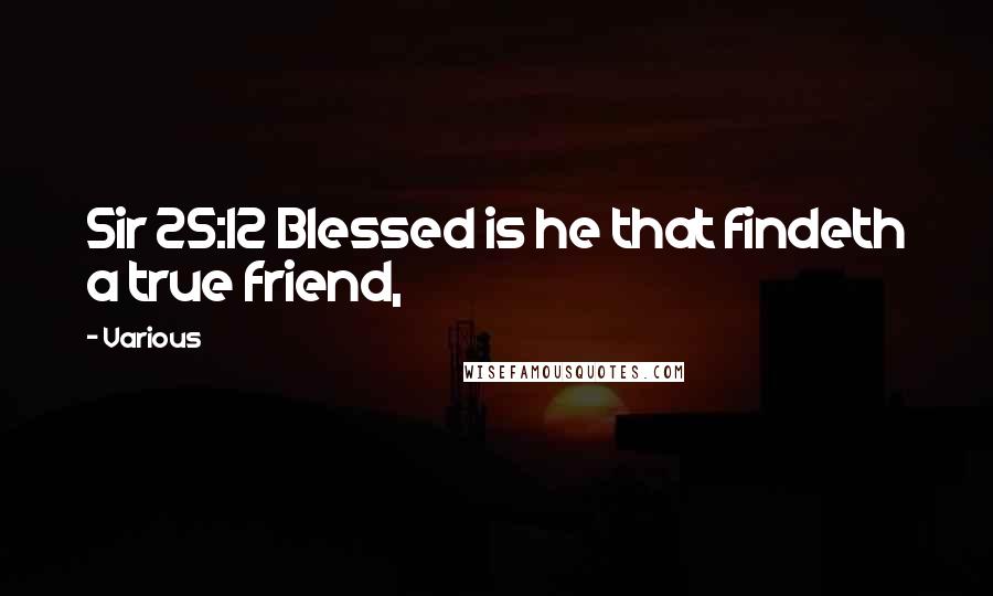 Various Quotes: Sir 25:12 Blessed is he that findeth a true friend,