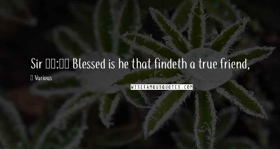 Various Quotes: Sir 25:12 Blessed is he that findeth a true friend,