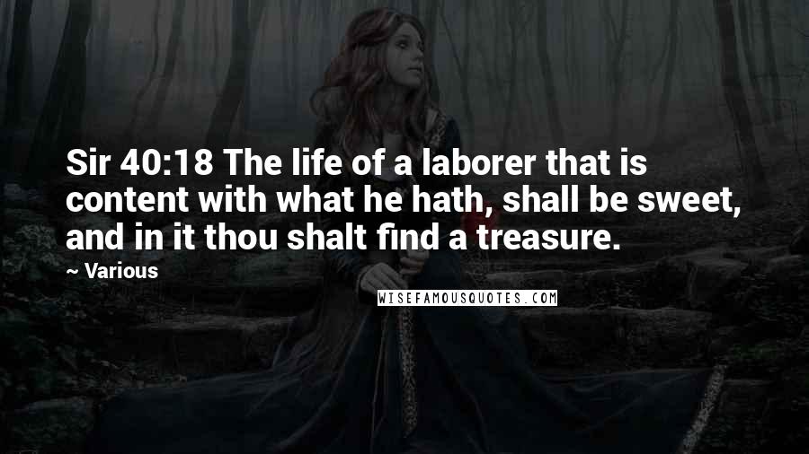 Various Quotes: Sir 40:18 The life of a laborer that is content with what he hath, shall be sweet, and in it thou shalt find a treasure.