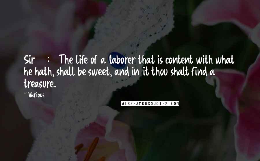 Various Quotes: Sir 40:18 The life of a laborer that is content with what he hath, shall be sweet, and in it thou shalt find a treasure.