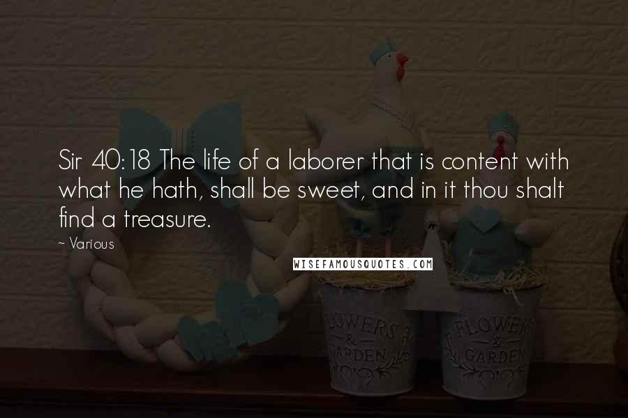 Various Quotes: Sir 40:18 The life of a laborer that is content with what he hath, shall be sweet, and in it thou shalt find a treasure.