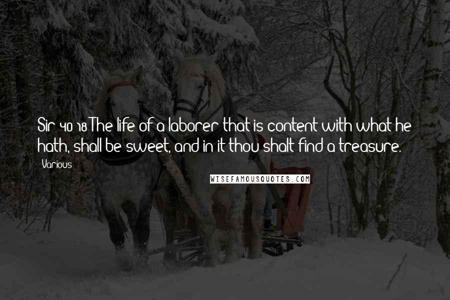 Various Quotes: Sir 40:18 The life of a laborer that is content with what he hath, shall be sweet, and in it thou shalt find a treasure.