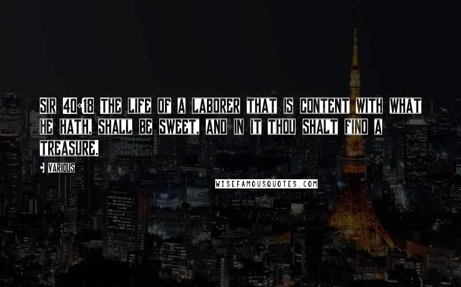 Various Quotes: Sir 40:18 The life of a laborer that is content with what he hath, shall be sweet, and in it thou shalt find a treasure.