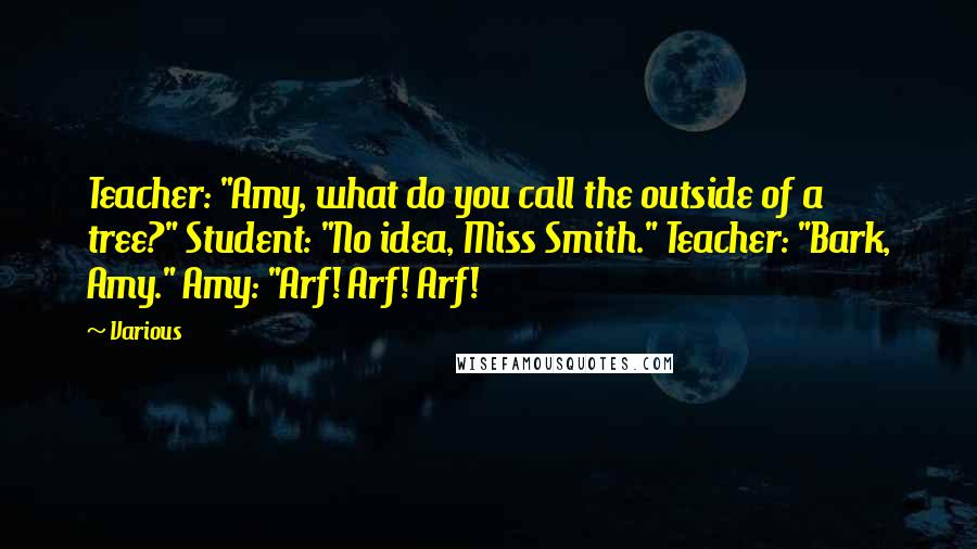 Various Quotes: Teacher: "Amy, what do you call the outside of a tree?" Student: "No idea, Miss Smith." Teacher: "Bark, Amy." Amy: "Arf! Arf! Arf!