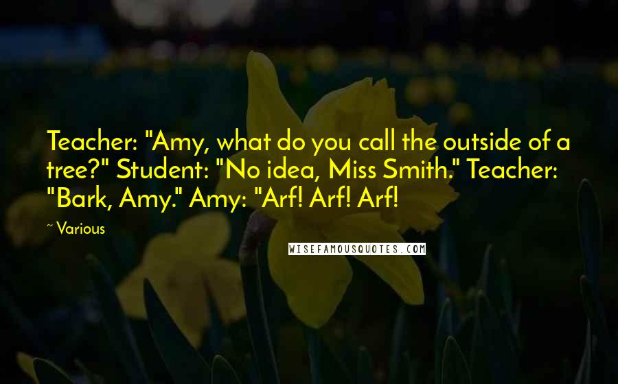 Various Quotes: Teacher: "Amy, what do you call the outside of a tree?" Student: "No idea, Miss Smith." Teacher: "Bark, Amy." Amy: "Arf! Arf! Arf!